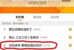 卓伟爆料鹿晗豪宅视频,奢华生活引网友热议