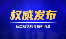 四川米高最新大爆料,行业巨变背后的惊人内幕