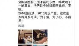 网友爆料暖心正能量视频,暖心正能量视频，传递人间真情