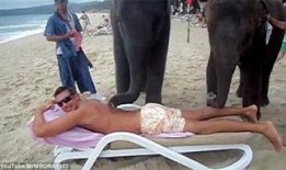 大象按摩视频在线观看,在线观看温馨互动瞬间