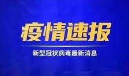 金乡大事件爆料视频最新,揭秘最新爆料视频背后的惊人真相