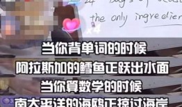 徐盼爆料董宇辉视频全集,揭秘全集背后的惊人内幕