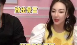 辛巴爆料刘根兴视频全集,视频全集深度解析