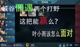 大洋哥的视频爆料大全,揭秘娱乐圈幕后真相