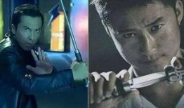 湖北甄子丹爆料视频,揭秘幕后故事与精彩瞬间