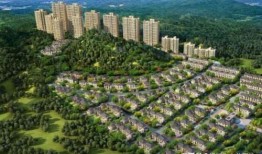 肥乡玉桂园最新爆料新闻,揭秘项目进展与神秘幕后势力