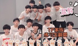 tf家族台风大爆料视频,台风大爆料视频背后的惊人真相