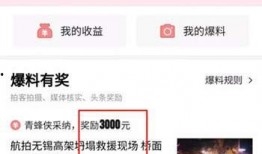 爆料谁得过奖金啊视频播放,揭秘“谁得过奖金”视频播放背后的奖金得主