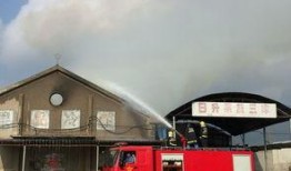 烟台最新爆料桃村,揭秘这座古镇的美丽与传奇