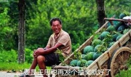 酷的吃瓜日记免费观看,免费观看背后的精彩故事