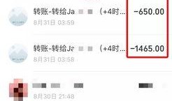 实名爆料视频网站大全免费观看,揭秘全网免费观看实名爆料视频网站大全