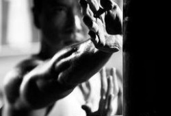 湖北甄子丹爆料视频,揭秘幕后故事与精彩瞬间