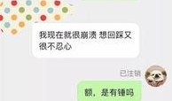 怎么看自己投的爆料视频,如何评估自己爆料视频的影响力