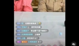 徐盼爆料董宇辉视频全集,揭秘全集背后的惊人内幕