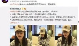 宝丰爆料新闻孙红旭,孙红旭事件引发社会关注
