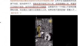 天涯爆料员工绯闻视频大全,员工绯闻视频大揭秘，真相背后引人深思