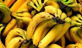 香蕉今天的爆料新闻,今日热点事件内幕大曝光