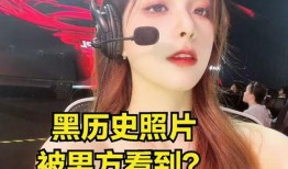 辽宁美女被爆料黑料视频,真相与争议并存