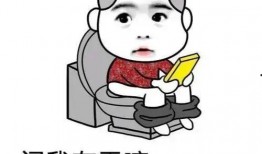 冷笑话搞笑视频热点爆料,揭秘搞笑视频热点背后的爆笑瞬间