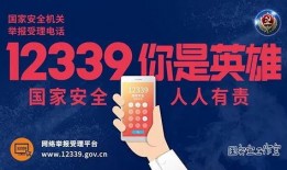 大河网爆料新闻电话号,揭秘新闻热线背后的故事