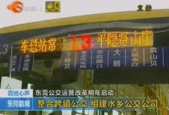 东莞爆料最新新闻消息视频,视频揭露惊人真相，事件详情曝光