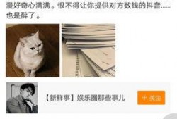 大芝麻爆料铲屎官视频大全,铲屎官视频大全趣味盘点