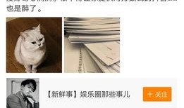 大芝麻爆料铲屎官视频大全,铲屎官视频大全趣味盘点