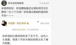 卓伟爆料鹿晗豪宅视频,奢华生活引网友热议