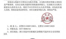 江浙老板爆料缅北事件视频,江浙老板亲述惊心动魄的生存挑战