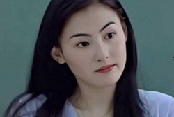 张柏芝最新爆料视频播放,娱乐圈背后惊人真相