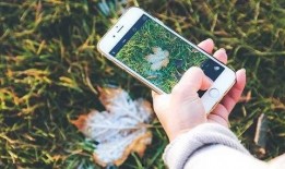 美星琉花手机在线观看,浪漫校园恋曲，青春记忆重现