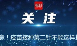 极目新闻爆料慧泊的视频,极目新闻视频揭露事件真相