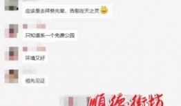 顺德爆料夫妇视频播放网站,揭秘热门事件背后的真相
