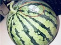 无锡网红吃瓜,揭秘幕后故事与热门话题