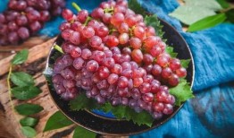 网红吃葡萄瓜,口感与颜值并存，网友直呼过瘾！