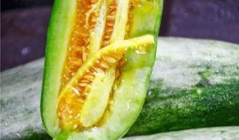 无锡网红吃瓜,揭秘幕后故事与热门话题