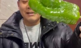 庆阳网红吃瓜事件视频最新,揭秘背后真相与网络暴力