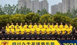 四川米高最新大爆料,行业巨变背后的惊人内幕