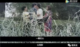 性与爱视频在线观看,在线视频深度解析