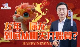 龙宝宝最新爆料视频,揭秘幕后真相，带你走进神秘世界