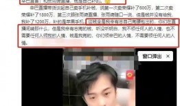 辛巴爆料刘根兴视频全集,视频全集深度解析
