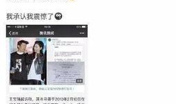 天涯爆料员工绯闻视频大全,员工绯闻视频大揭秘，真相背后引人深思
