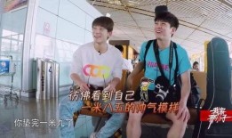 陈翔助理爆料视频大全,揭秘明星幕后故事