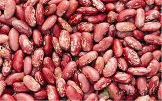 娱乐吃瓜酱云南的花