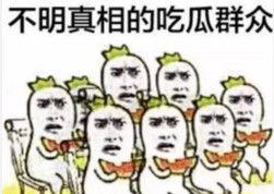 微信吃瓜表情包是什么意思